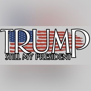 Trump window decals
